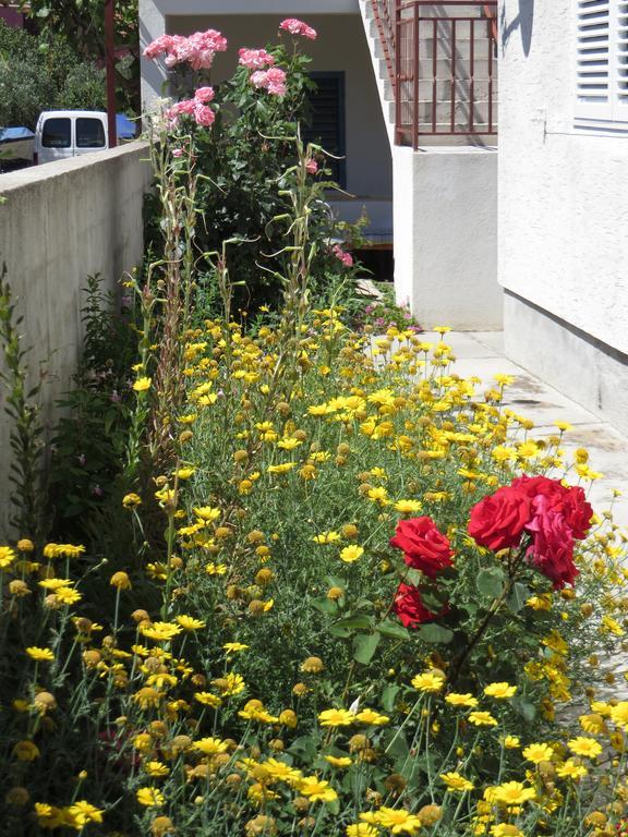 Apartment Cvita Біоград-на-Мору Номер фото